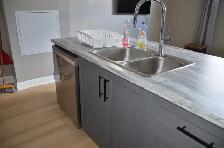 Renovated 3BR Lower Unit — Gas Fireplace, Kitchen Island, Truly - Photo 2