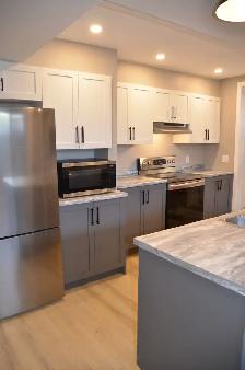 Renovated 3BR Lower Unit — Gas Fireplace, Kitchen Island, Truly - Photo 3