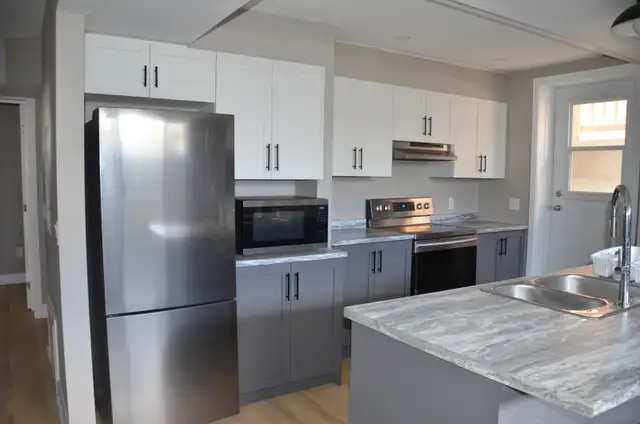 Renovated 3BR Lower Unit — Gas Fireplace, Kitchen Island, Truly - Photo 4