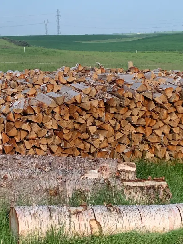 Seasoned Birch Firewood/ Free Delivery - Photo 2