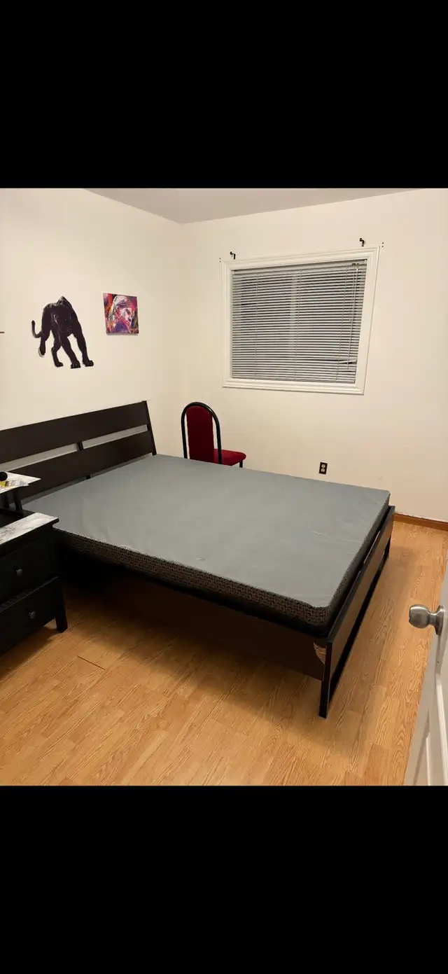 2 Rooms for rent