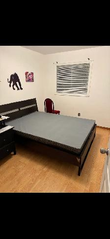 2 Rooms for rent
