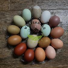 Hatching eggs