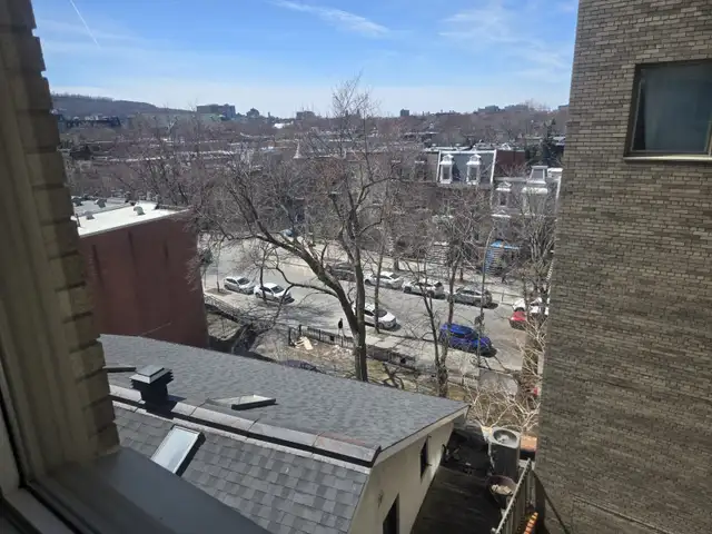 CESSION DE BAIL 3.5 CENTRE-VILLE - METRO SHERBROOKE/ LAFONTAINE - Photo 10
