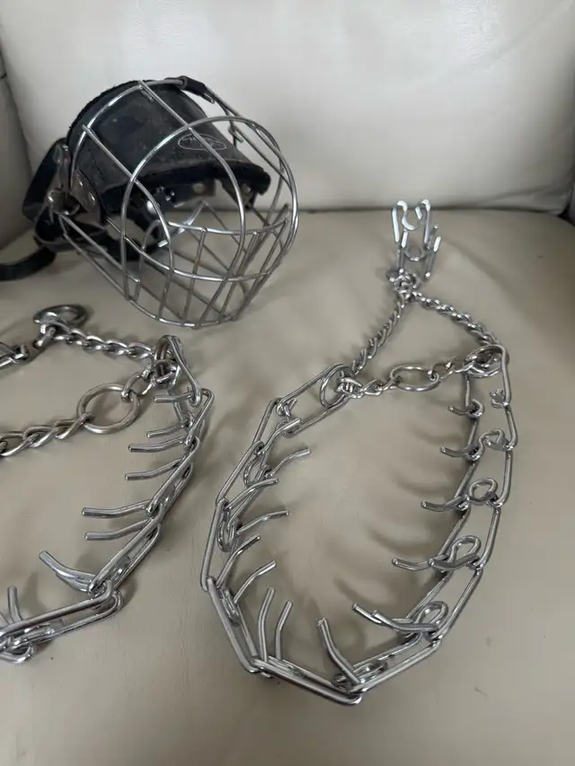 Dog Muzzle and Prong Collars - Photo 3
