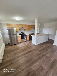 1 bedroom 1 bathroom renovated apartment in Stouffville, ON - Photo 2