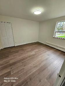1 bedroom 1 bathroom renovated apartment in Stouffville, ON - Photo 4