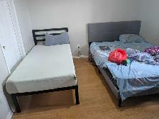 Room for rent in sharing, Mississauga