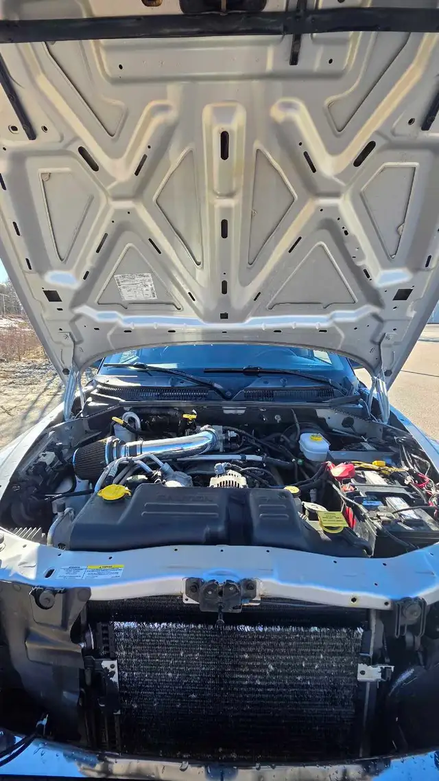2002 Dodge Dakota 4x4 4.7L V8 with a Canopy - Photo 8