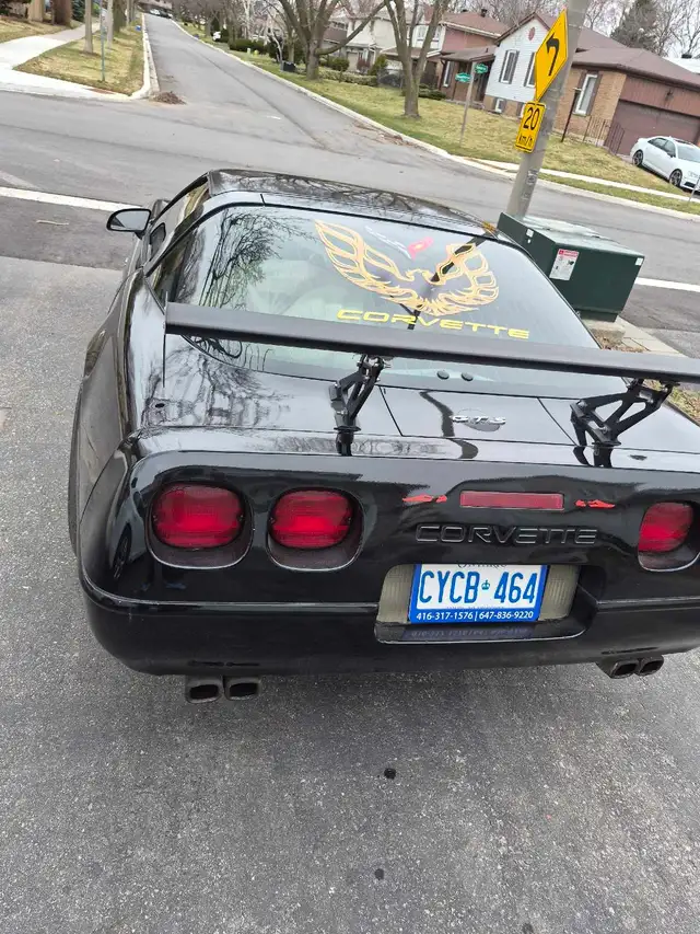 corvette