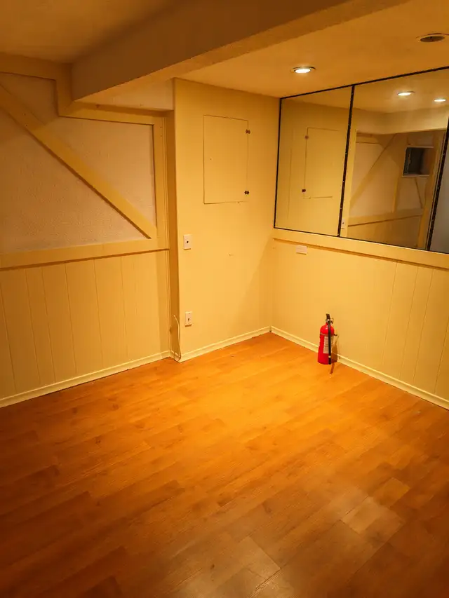 Walking-out Basement 1Bedroom for rent in Thornhill - Photo 3