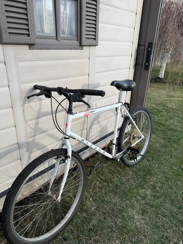 Myata Road Bike