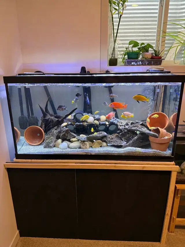 90 gallon fish tank - Photo 2
