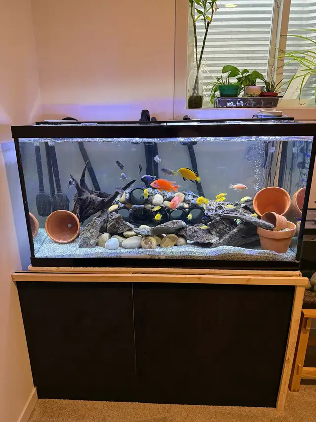 90 gallon fish tank - Photo 3