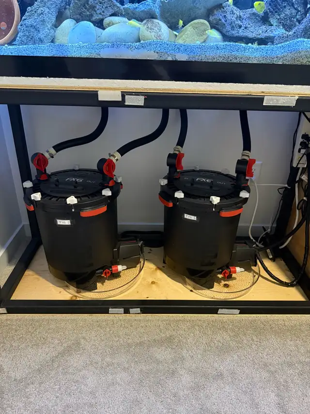 90 gallon fish tank - Photo 7