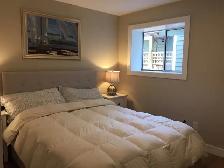 AMAZING WATERFRONT ! 1 BR / 1 BATH - FURNISHED OR UNFURNISHED - Photo 8
