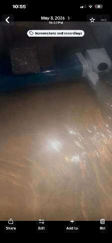 Red Ear Slider Turtle - Photo 8