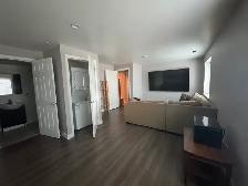 Port Moody Basement