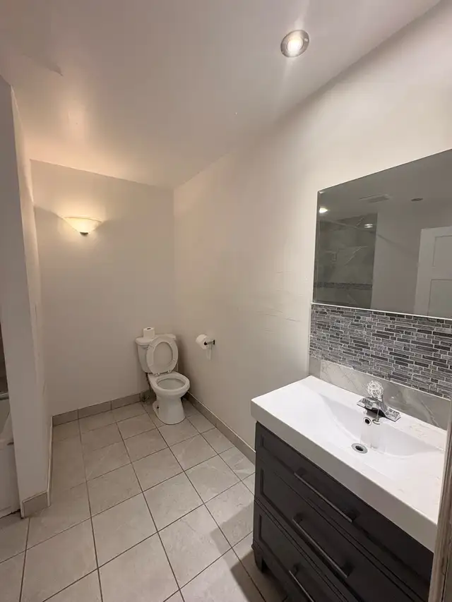 4.5 next to metro Beaubien (Petite Patrie - Avail Now) - Photo 5