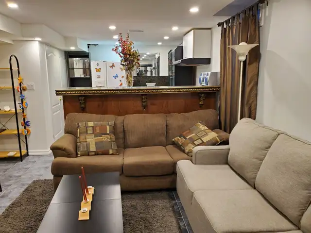 1 bedroom basement apt in Richmond hill for rent