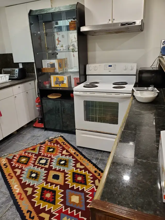 1 bedroom basement apt in Richmond hill for rent - Photo 3