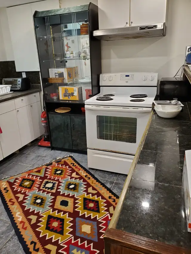 1 bedroom basement apt in Richmond hill for rent - Photo 5