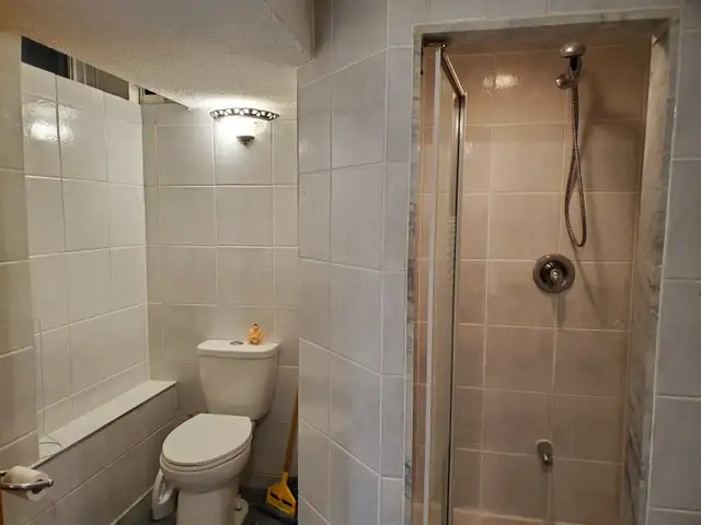 1 bedroom basement apt in Richmond hill for rent - Photo 9