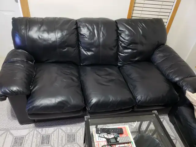 Free Black Leather Sofa!