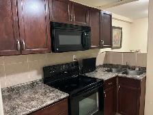 Millwoods Basement for Rent