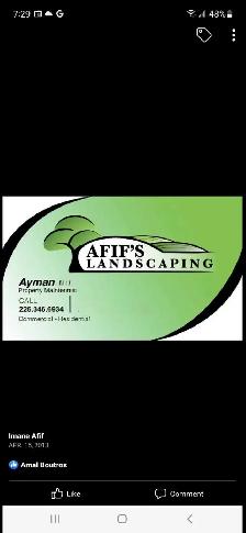 landscaping Sod lawn grass cutting trimming yard clean up