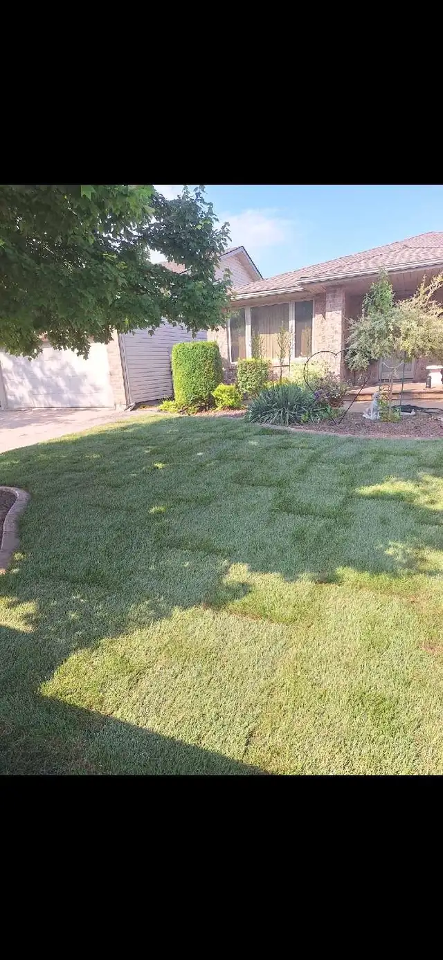 landscaping Sod lawn grass cutting trimming yard clean up - Photo 8