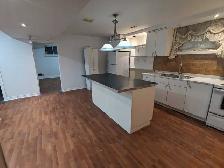 2 Bedroom basement apartment - West mountain - Photo 2
