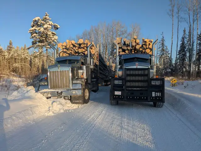 log truck driver - Photo 2