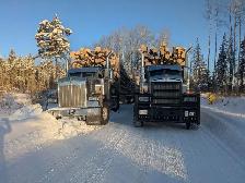 log truck driver - Photo 2