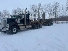 log truck driver - Photo 4
