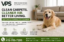 Bring Ur Home, Carpets & Furniture Back to Life | SPRING SPECIAL