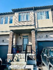 Spacious shared basement
