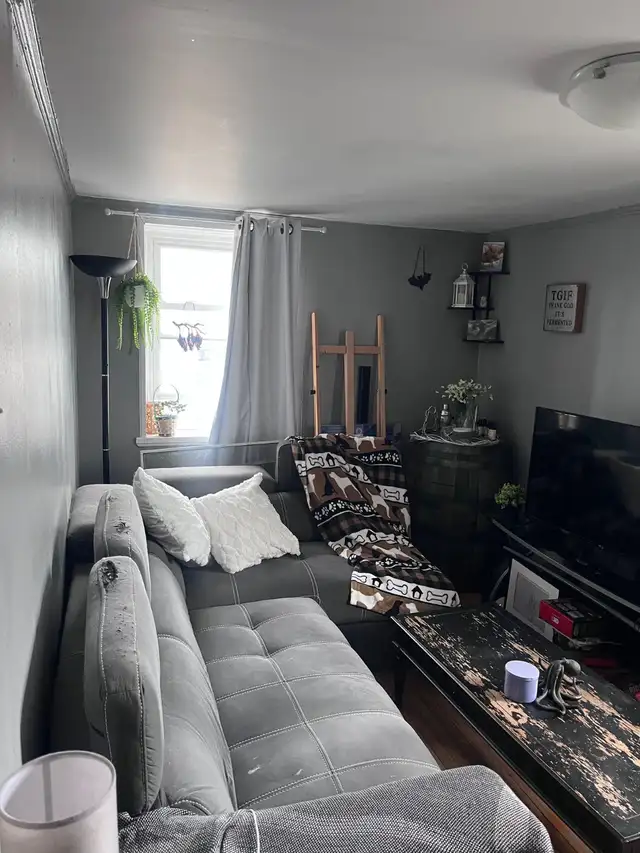 Campbellford - Beautiful and Bright 1-bdrm for rent $1450/m - Photo 2