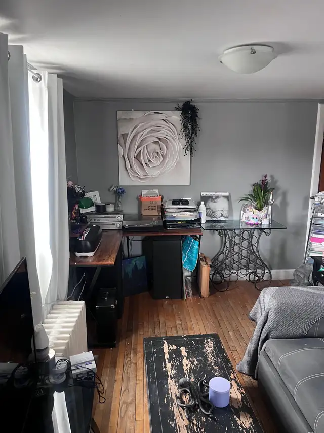 Campbellford - Beautiful and Bright 1-bdrm for rent $1450/m - Photo 3