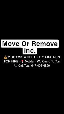 2 STRONG & RELIABLE YOUNG MEN FOR HIRE – WE COME TO YOU!