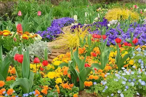 Help at Regenerative Organic Gardens