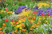 Help at Regenerative Organic Gardens