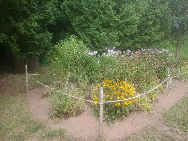Help at Regenerative Organic Gardens - Photo 6