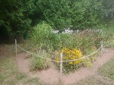 Help at Regenerative Organic Gardens - Photo 6