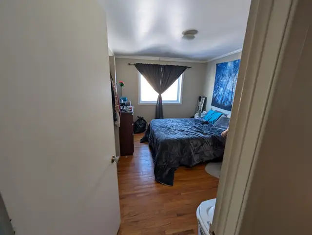 Grand 4 ½, 1465 Rue Beaumont,Longueuil, 1 Juillet. 2026 - Photo 3
