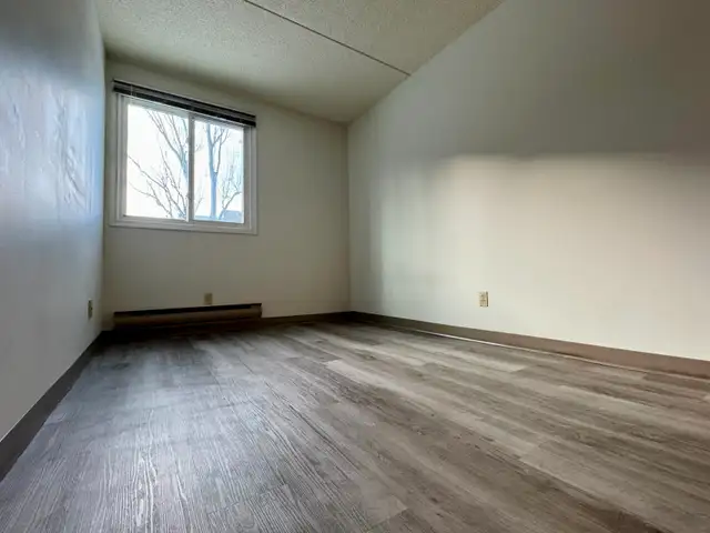 2-Bedroom Apartment Suite in St Vital Available June 1st - Photo 3