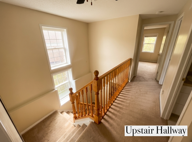 Bright End-Unit Townhouse near Gordon & Kortright – 3 Rooms - Photo 11