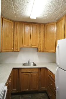 2 Bed Renovated Apt in Clean and Quiet building - Photo 2