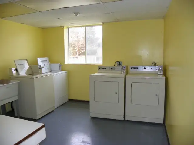 2 Bed Renovated Apt in Clean and Quiet building - Photo 6