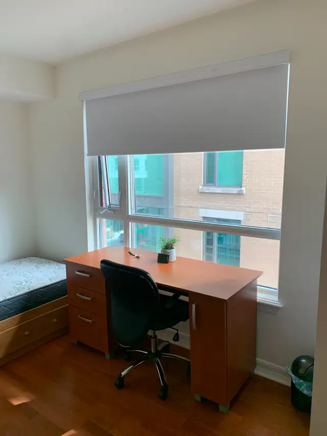 Room in Condo for Female Student - Photo 2